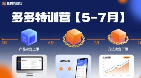【精】多多特训营，产品决定上限，方法决定下限，各种玩法技巧落地实操(更新)